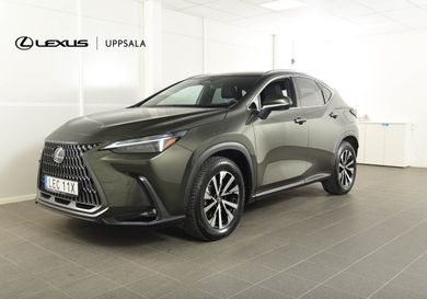 Lexus NX, 2023