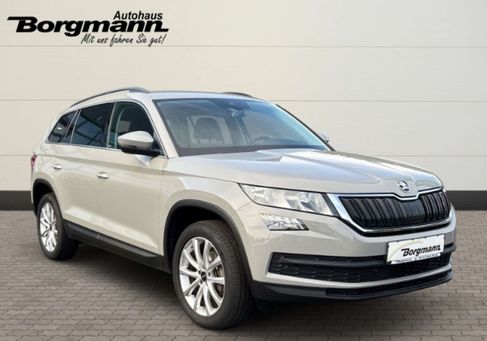 Skoda Kodiaq, 2020