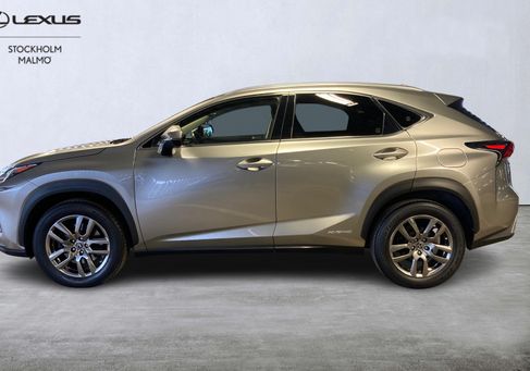 Lexus NX, 2019