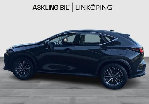 Lexus NX, 2024