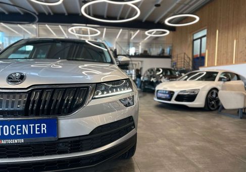 Skoda Karoq, 2019