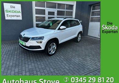Skoda Karoq, 2019