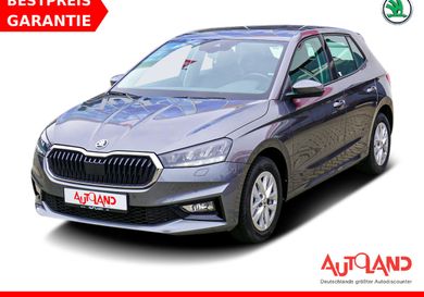 Skoda Fabia, 2024