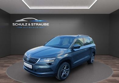 Skoda Karoq, 2019