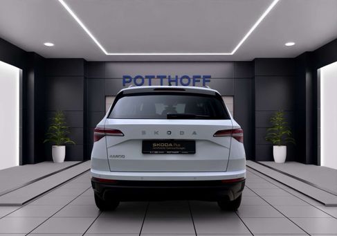 Skoda Karoq, 2024