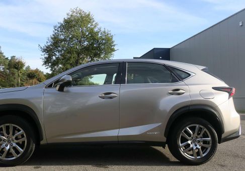 Lexus NX, 2019