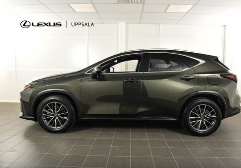 Lexus NX, 2024