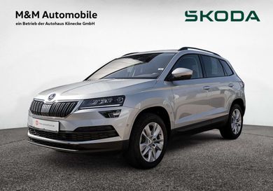 Skoda Karoq, 2020