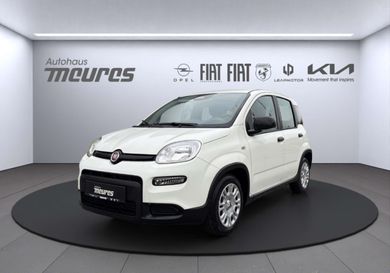 Fiat Panda, 2025