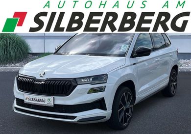 Skoda Karoq, 2024