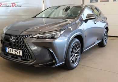 Lexus NX, 2023