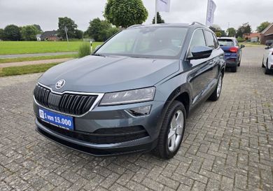 Skoda Karoq, 2020