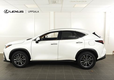 Lexus NX, 2023 3