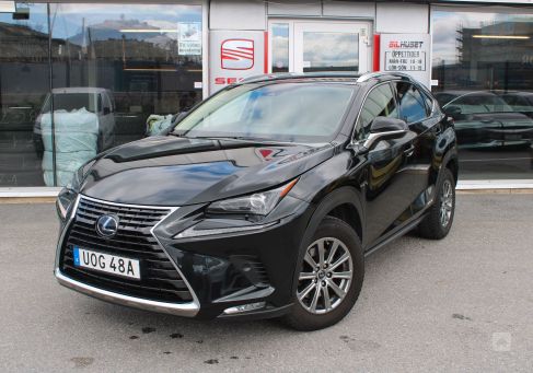 Lexus NX, 2019