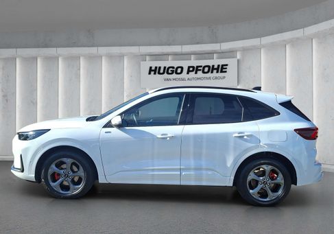 Ford Kuga, 2024
