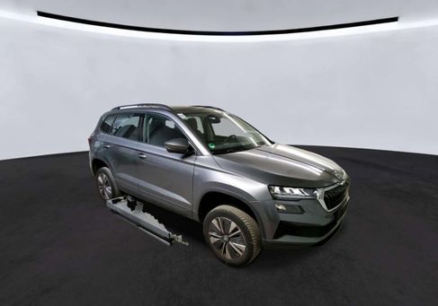Skoda Karoq, 2023