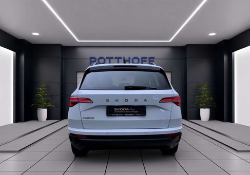 Skoda Karoq, 2024