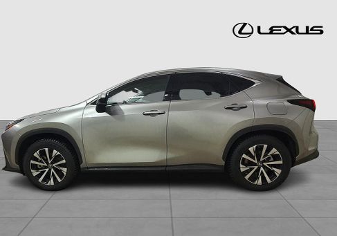 Lexus NX, 2025