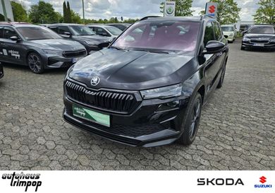 Skoda Karoq, 2024