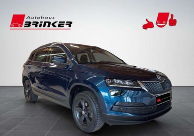 Skoda Karoq, 2019