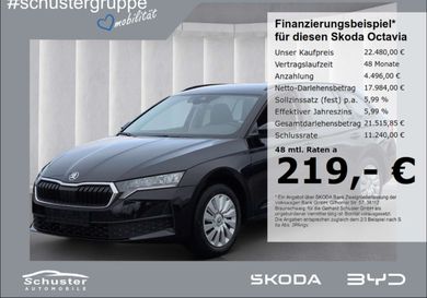 Skoda Octavia, 2025