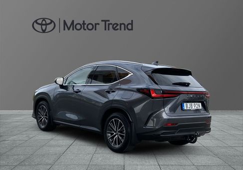 Lexus NX, 2025