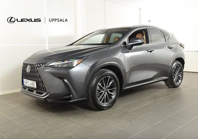 Lexus NX, 2025