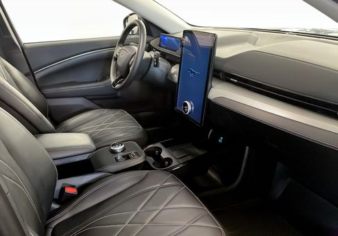 Ford Mustang Mach-E, 2022 3