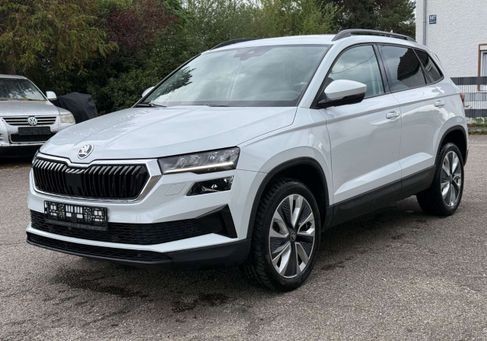 Skoda Karoq, 2025 2