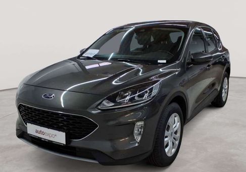 Ford Kuga, 2022
