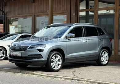 Skoda Karoq, 2020