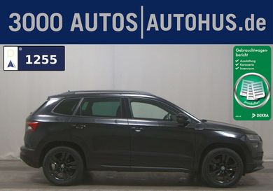 Skoda Karoq, 2020