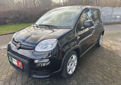 Fiat Panda, 2024
