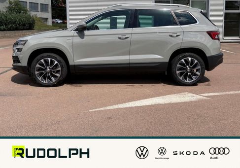 Skoda Karoq, 2020
