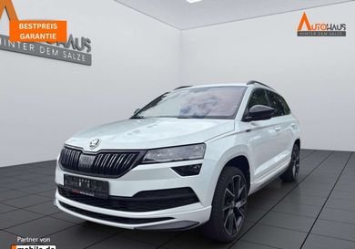 Skoda Karoq, 2020