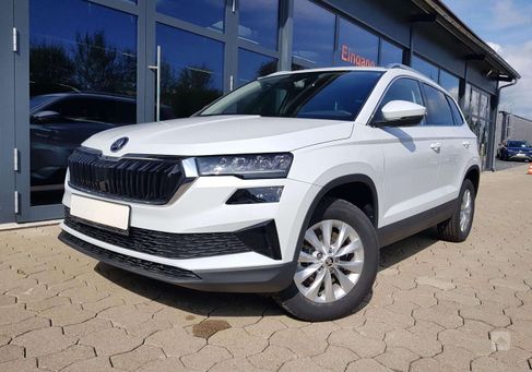 Skoda Karoq, 2024