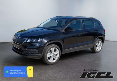 Skoda Karoq, 2019