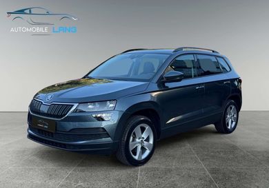 Skoda Karoq, 2020