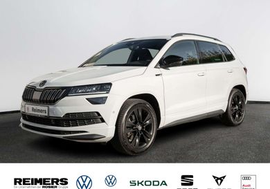 Skoda Karoq, 2020