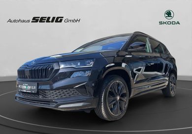Skoda Karoq, 2024