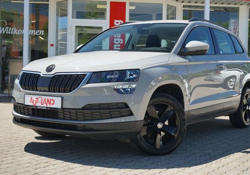 Skoda Karoq, 2019