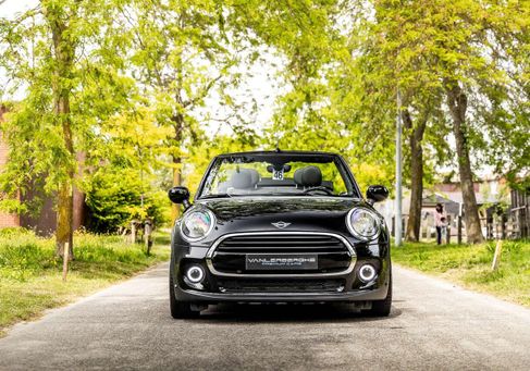 MINI, 2019