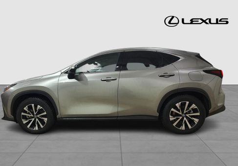 Lexus NX, 2025