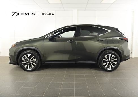 Lexus NX, 2023