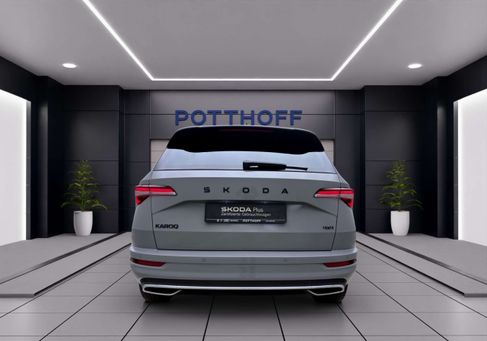 Skoda Karoq, 2024