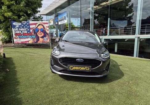 Ford Fiesta, 2024
