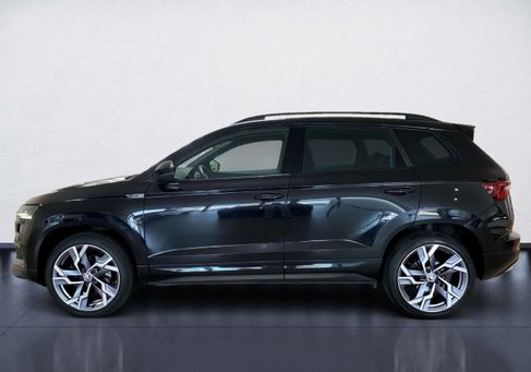 Skoda Karoq, 2022
