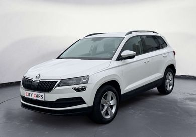Skoda Karoq, 2019