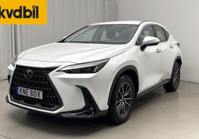 Lexus NX, 2024