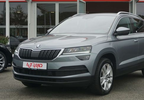 Skoda Karoq, 2020